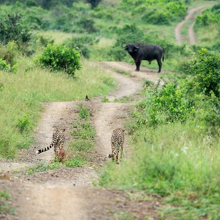 Sungulwane Private Game Lodge Хлухлуве Экстерьер фото